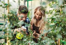 From Script to Screen: The Life of a Screenplay